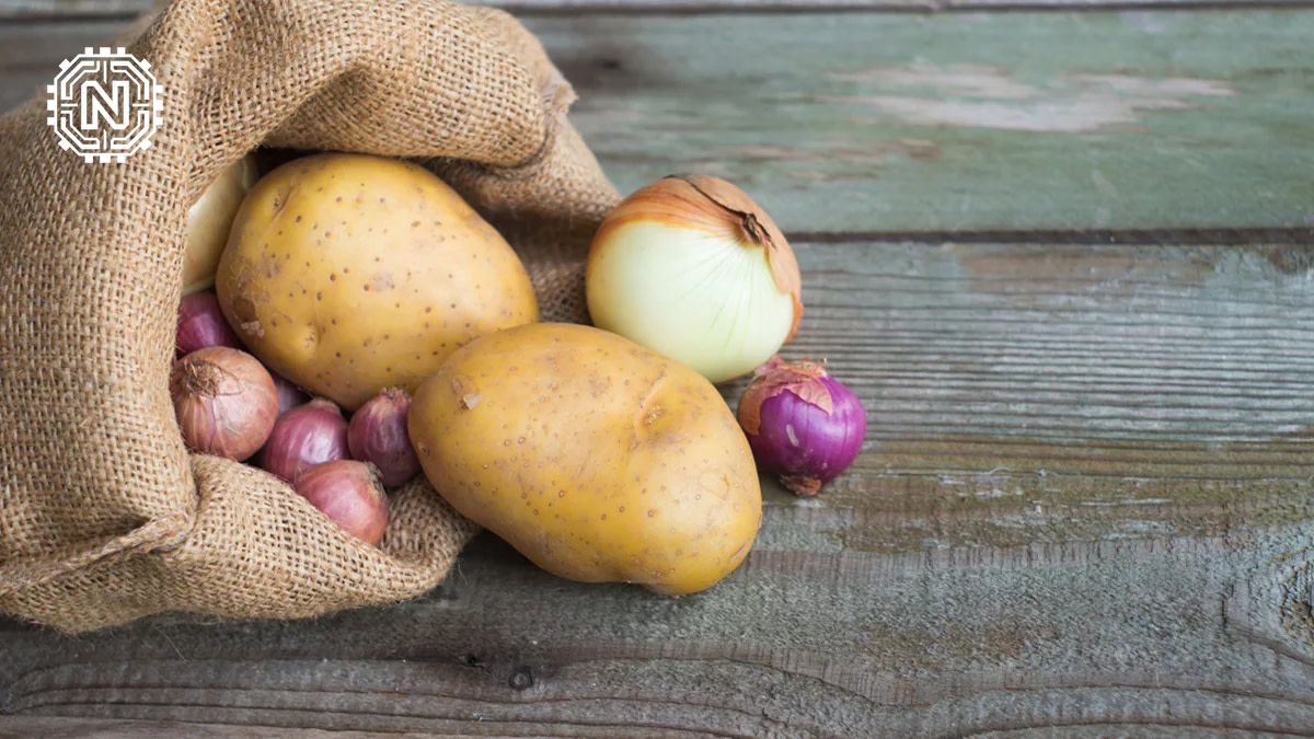 Storing onions and potatoes correctly, with separate containers to prevent spoilage