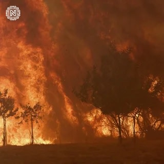 Wildfire in Southern Spain Leaves 12 Dead and 23 Missing in 2026