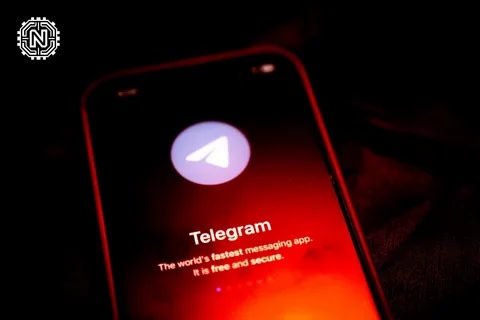 Telegram User Concerned about Regulation