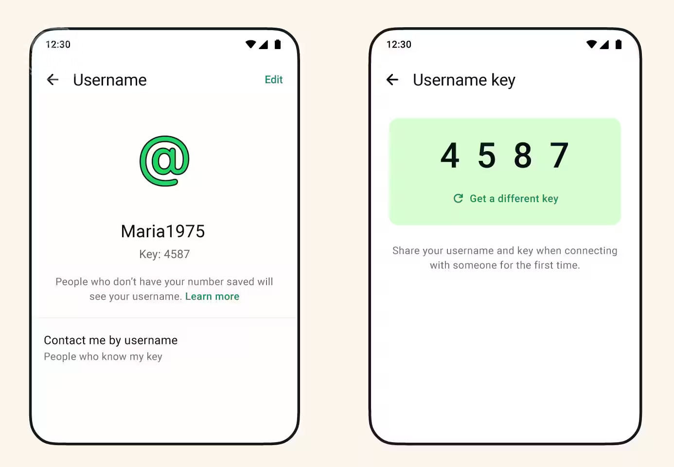WhatsApp anti-impersonation system distinguishing a trusted profile from fake accounts